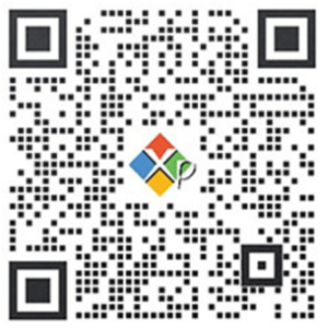 xpchina2003